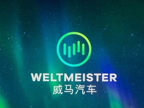 从被冷落到全网刷屏 一则广告如何让国产新能源车引爆美国市场